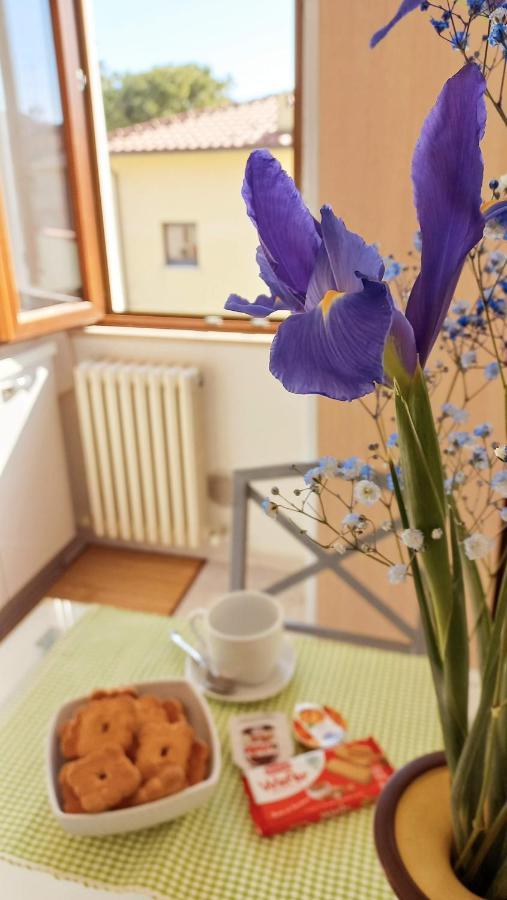 포르토 산텔피디오 Casa Lilly 아파트 외부 사진